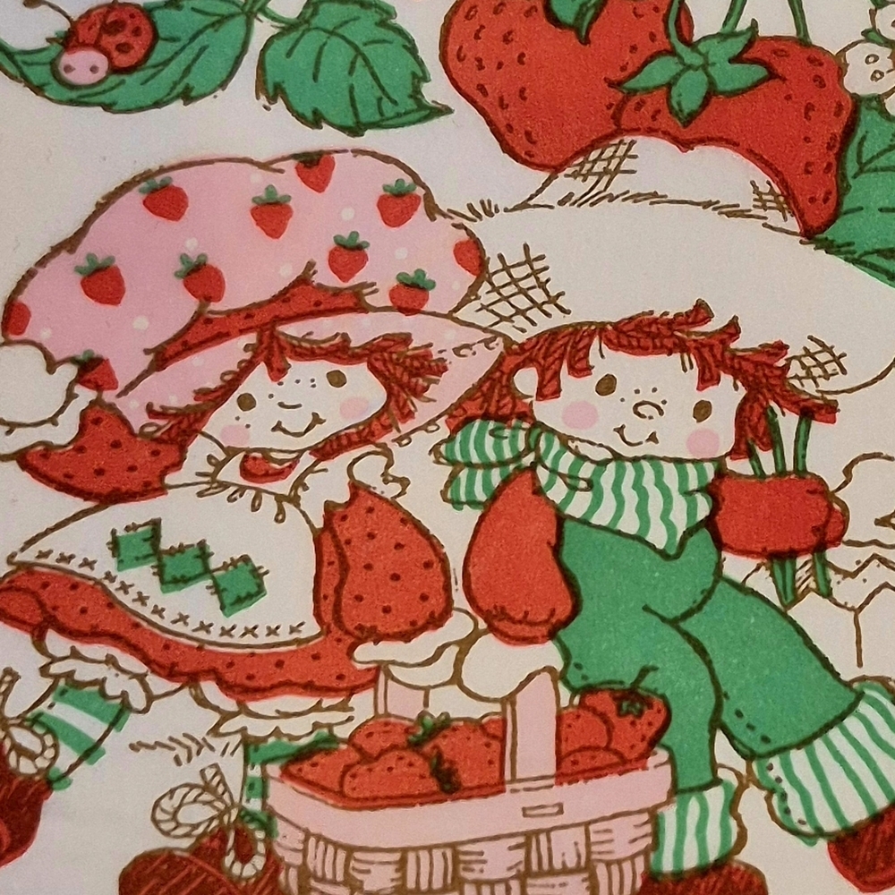 15 Strawberry- Shortcake Themed Vintage Paper Napkins . - Picture 2 of 7